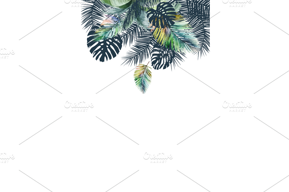 Palm leaves background for text, an Illustration by Nenahliadava Design