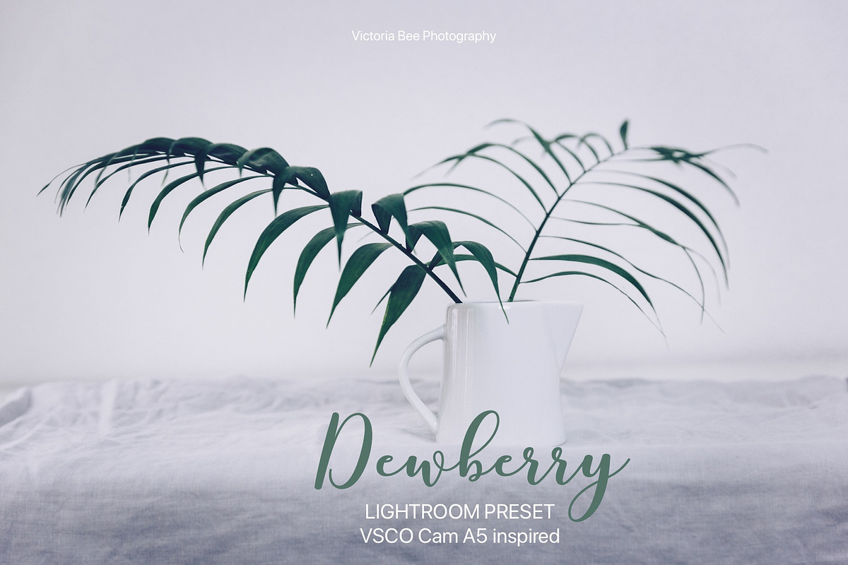 Desktop Lightroom Presets DEWBERRY, an Action Add-On by Victoria Bee Presets (Photo 9 of 18)