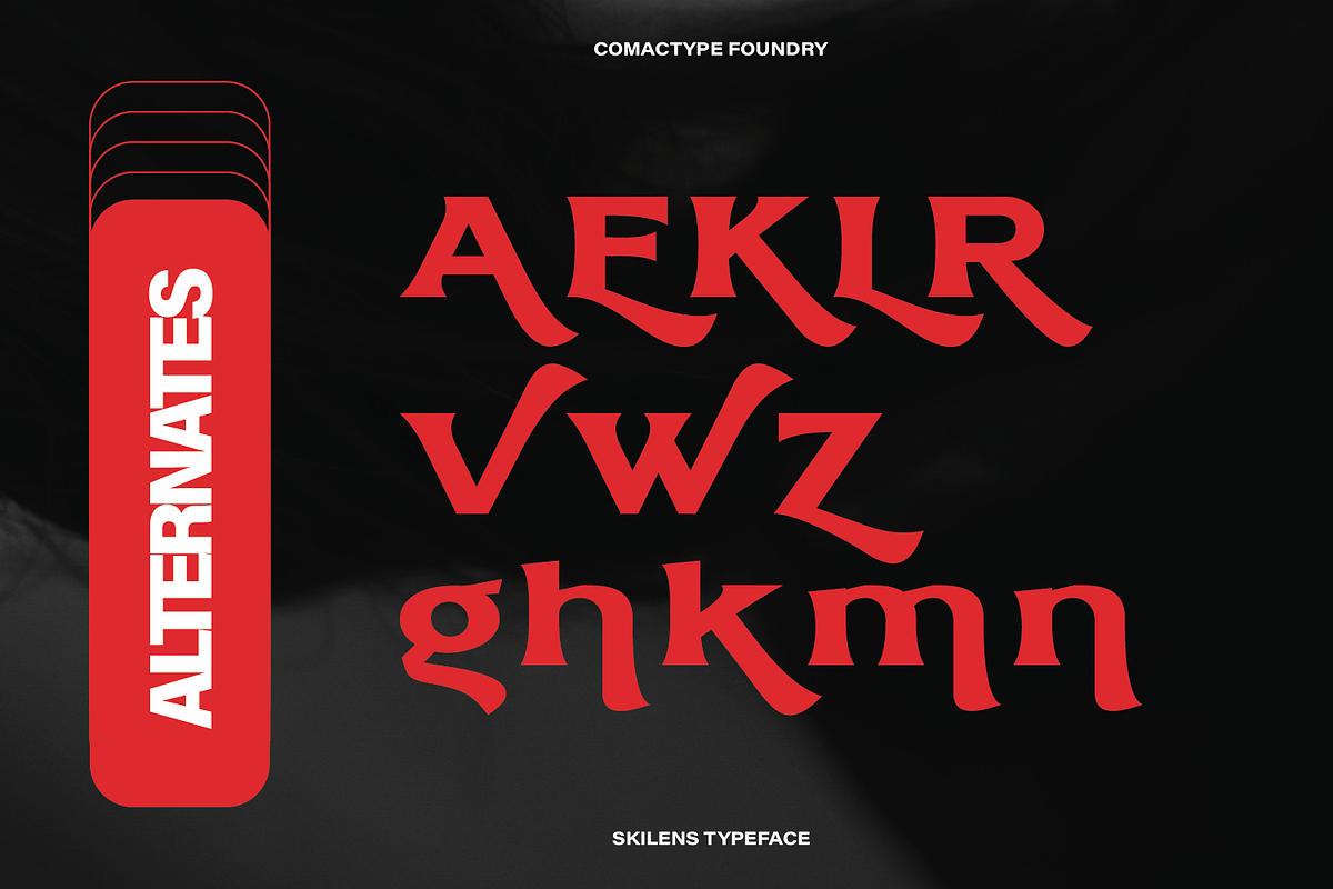 Skilens - Display Serif Typeface, a Serif Font by Comactype Foundry (Photo 20 of 20)