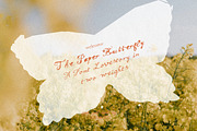 Handwritten Texture Script & Serif, a Handwritten Font by Laras Wonderland (Thumbnail 3 of 14)