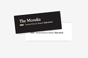 Mondia - 18 Fonts, a Serif Font by Nasir Udin (Thumbnail 12 of 15)