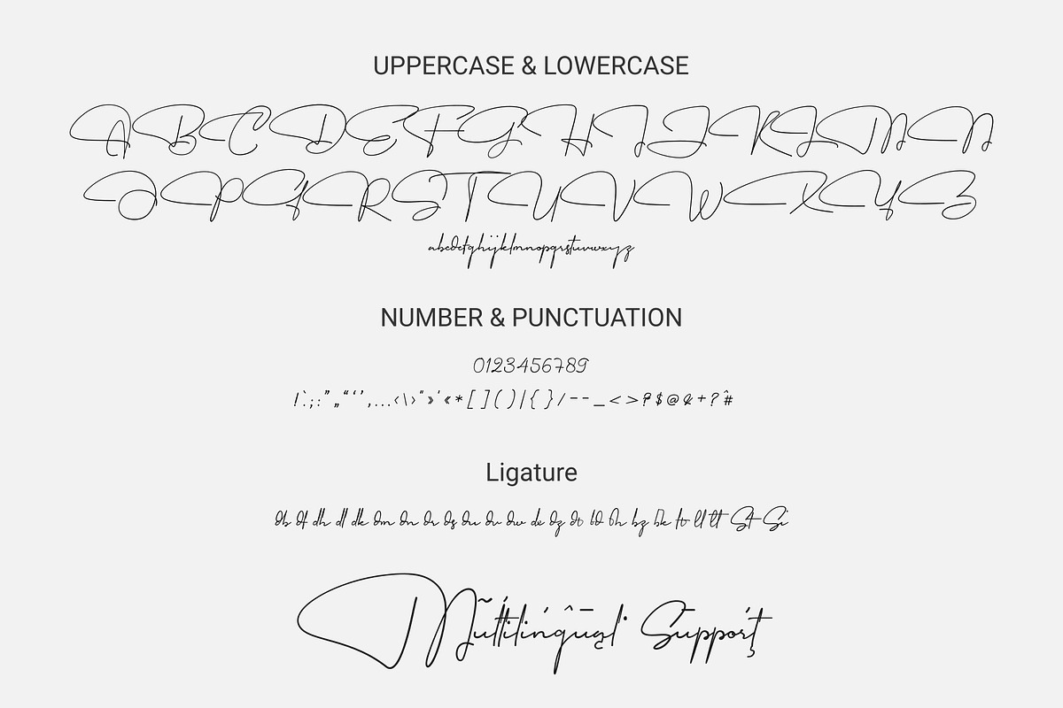 Garfield Signature Font, a Handwritten Font by Dewan Type (Photo 2 of 9)