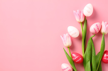 Happy Easter banner design with tulips and colorful Easter eggs on pink backgro