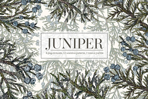 Juniper. Seamless Patterns