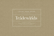 Idealist Serif, a Serif Font by Nicky Laatz (Thumbnail 16 of 34)