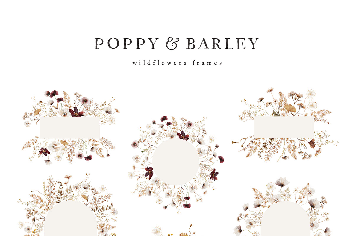 POPPY & BARLEY Autumn Wildflowers, a Seasonal Illustration by Muse Artist (Photo 10 of 14)