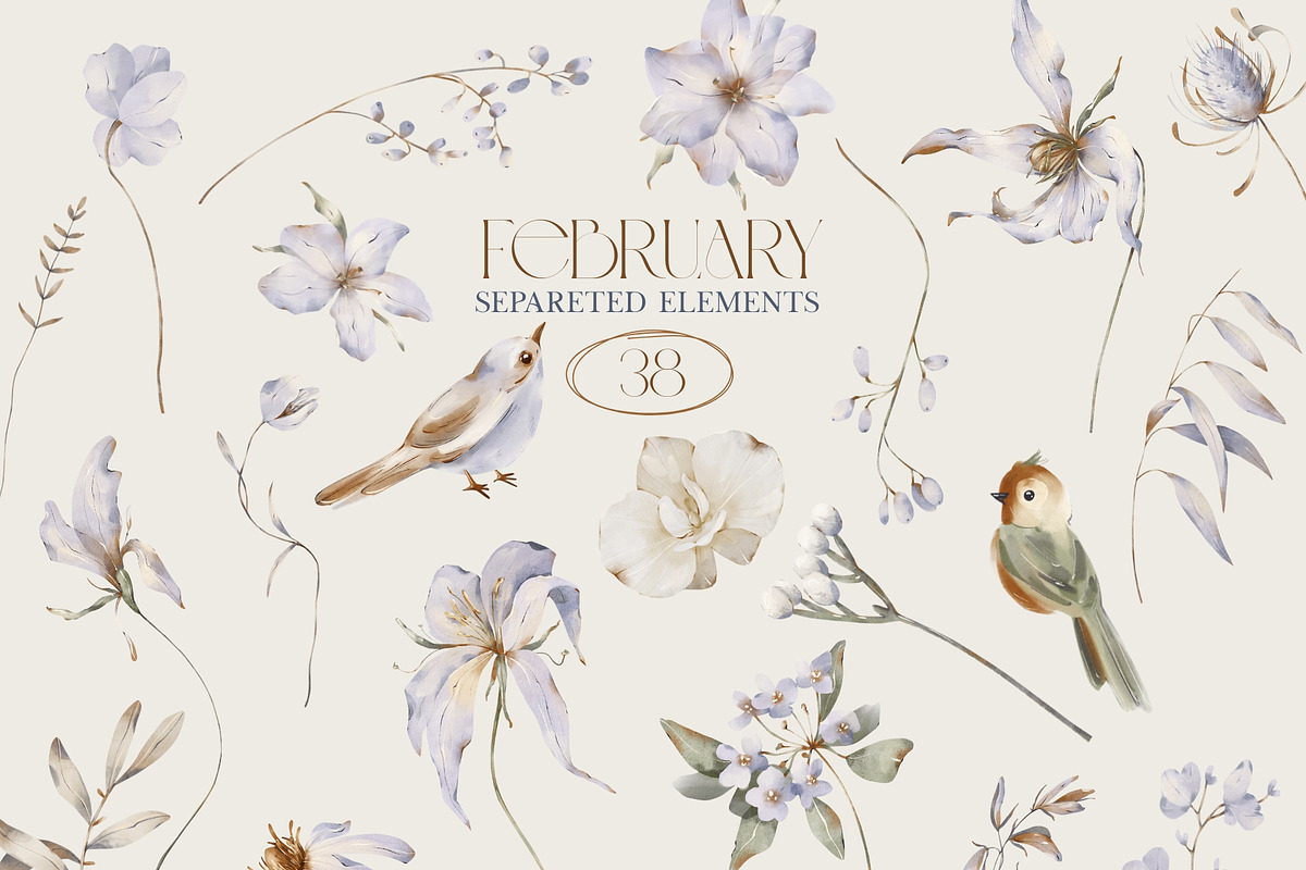 FEBRUARY Soft Floral Collection, a Seasonal Illustration by ArtMaslyana (Photo 2 of 8)