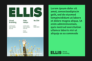 Itagi Sans - Modern Humanist Font, a Sans Serif Font by Pekotype (Thumbnail 4 of 9)
