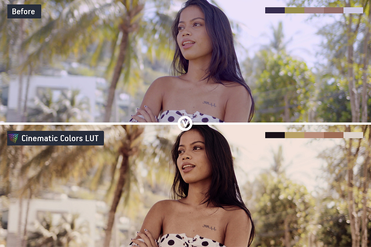 Cinematic Colors Video LUTs, a Preset Add-On by CineMart (Photo 6 of 7)