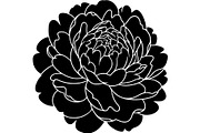 Peony Flower Silhouette, an Object Graphic by Designer_Momina (Thumbnail 9 of 18)