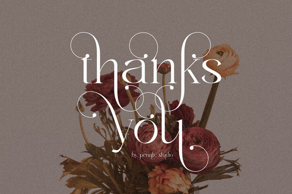 Astaken _ Beautyful serif font, a Serif Font by Penatic Studio (Photo 11 of 11)