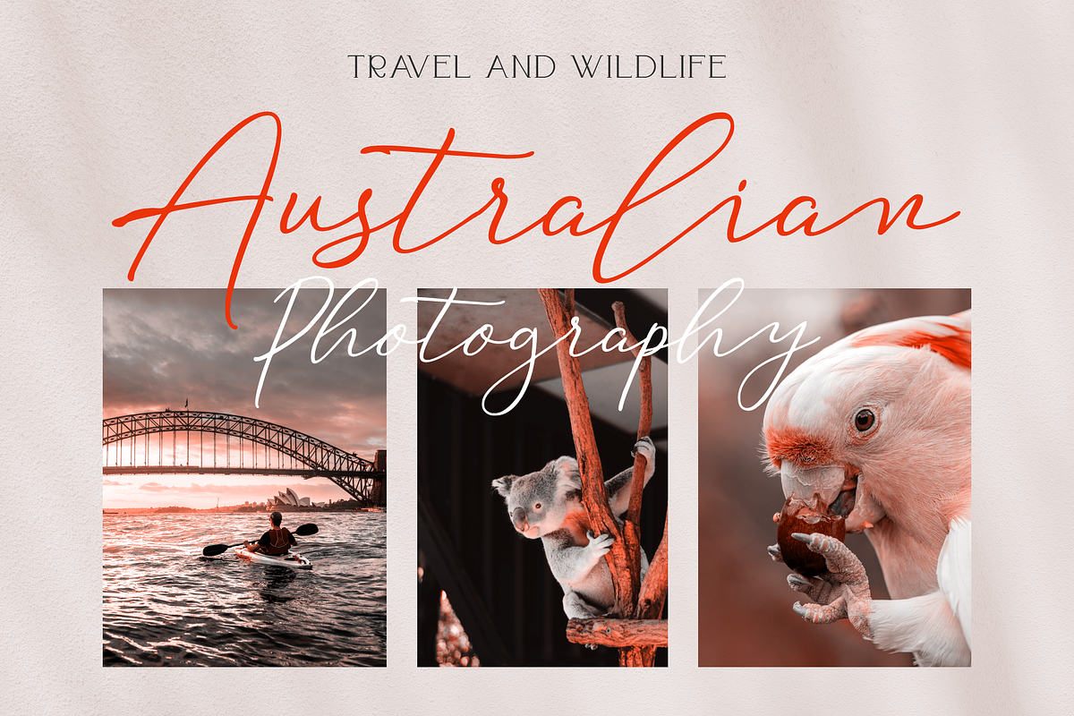 Haisley Cataleya | Exotic Font Duo, a Script Font by RT Studio (Photo 6 of 10)