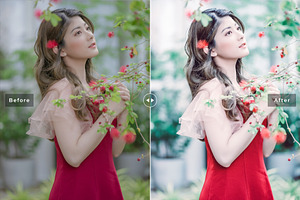 Quesnelia Pro Lightroom Presets