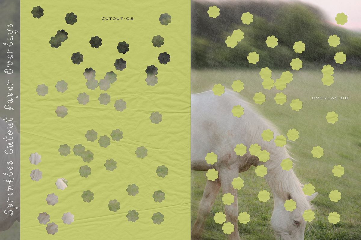Sprinkles - Cutout Paper Overlays, a Texture Graphic by alonahaidash (Photo 5 of 21)