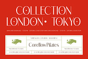 Megance Glamour Elegant Sans Font, a Sans Serif Font by timelesstype.co (Thumbnail 3 of 10)