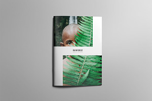 RAINFOREST Brochure / Portfolio