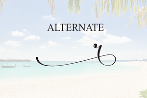 Welcome Summer Script Font