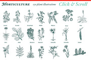 Super Illustration Pack, an Animal Illustration by BlackBird Foundry (Thumbnail 2 of 4)