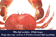 The Giant Nautical Collection, a Food Illustration by Digital Press Creation (Thumbnail 4 of 4)