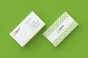 Simple Minimal Business Card