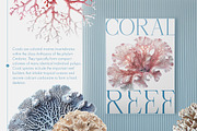 Fantastic Corals, an Object Graphic by Freezerondigital (Thumbnail 2 of 10)