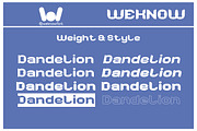Dandelion font, a Font by weknow (Thumbnail 7 of 8)