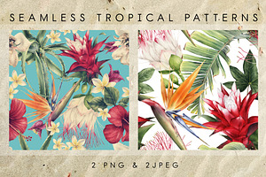 Tropical Patterns UPDATE 1 Pattern