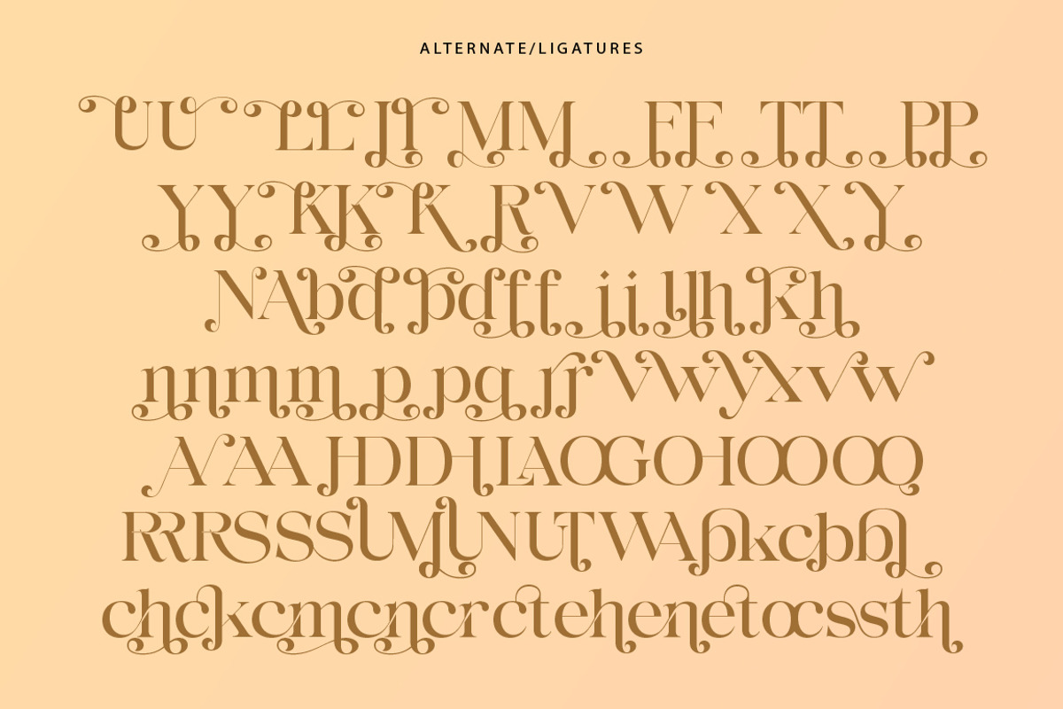 Lanchitas, a Serif Font by Gatype (Photo 5 of 10)