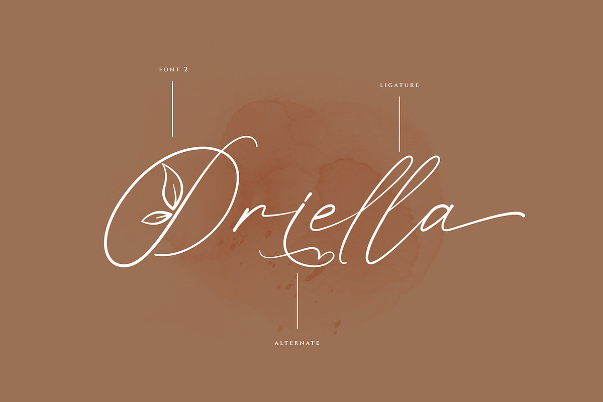 Oriella - Luxury Handwritten Font, a Handwritten Font by RantautypeStudio (Photo 6 of 13)