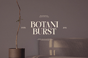 OV Cotin Serif Font Family, a Serif Font by OV Type (Thumbnail 13 of 16)