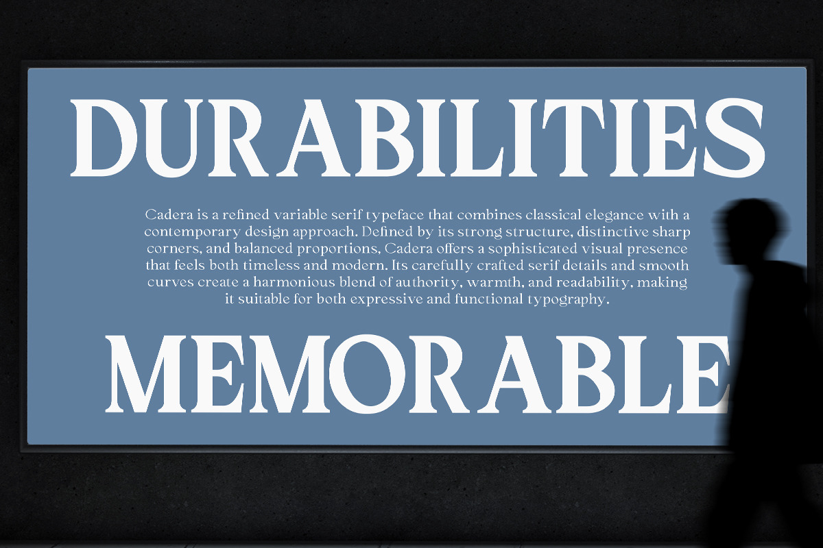Cadera Serif | 162 Font Files, a Serif Font by Ws Studio (Photo 11 of 12)