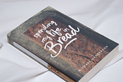 Outbound - Signature Font, a Script Font by Ian Barnard (Thumbnail 3 of 11)