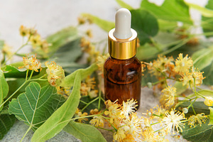 Linden essential oil in dropper bottle with fresh flowers, a Food & Drink Photo by Olena Rudo