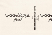 Woodland Hand Drawn Marker Font, a Handwritten Font by Madeline ODonoghue Design (Thumbnail 1 of 8)