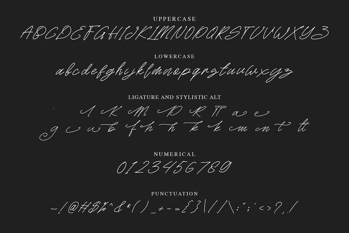 Rattini Signature Font, a Script Font by NTC Graphic (Photo 9 of 10)