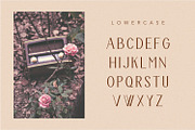 The Bravery, a Serif Font by Pollux of Geminorum (Thumbnail 3 of 12)