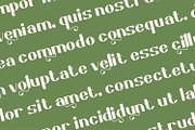 Greenic - Modern Serif Display Font, a Serif Font by Rishsketch (Thumbnail 9 of 15)