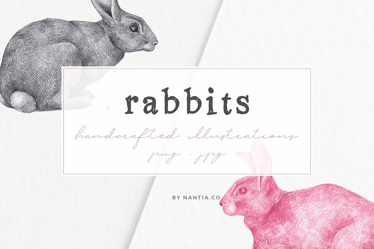 Hand drawn Rabbits Illustrations, an Animal Illustration by Greek fonts by nantia.co (Photo 1 of 6)