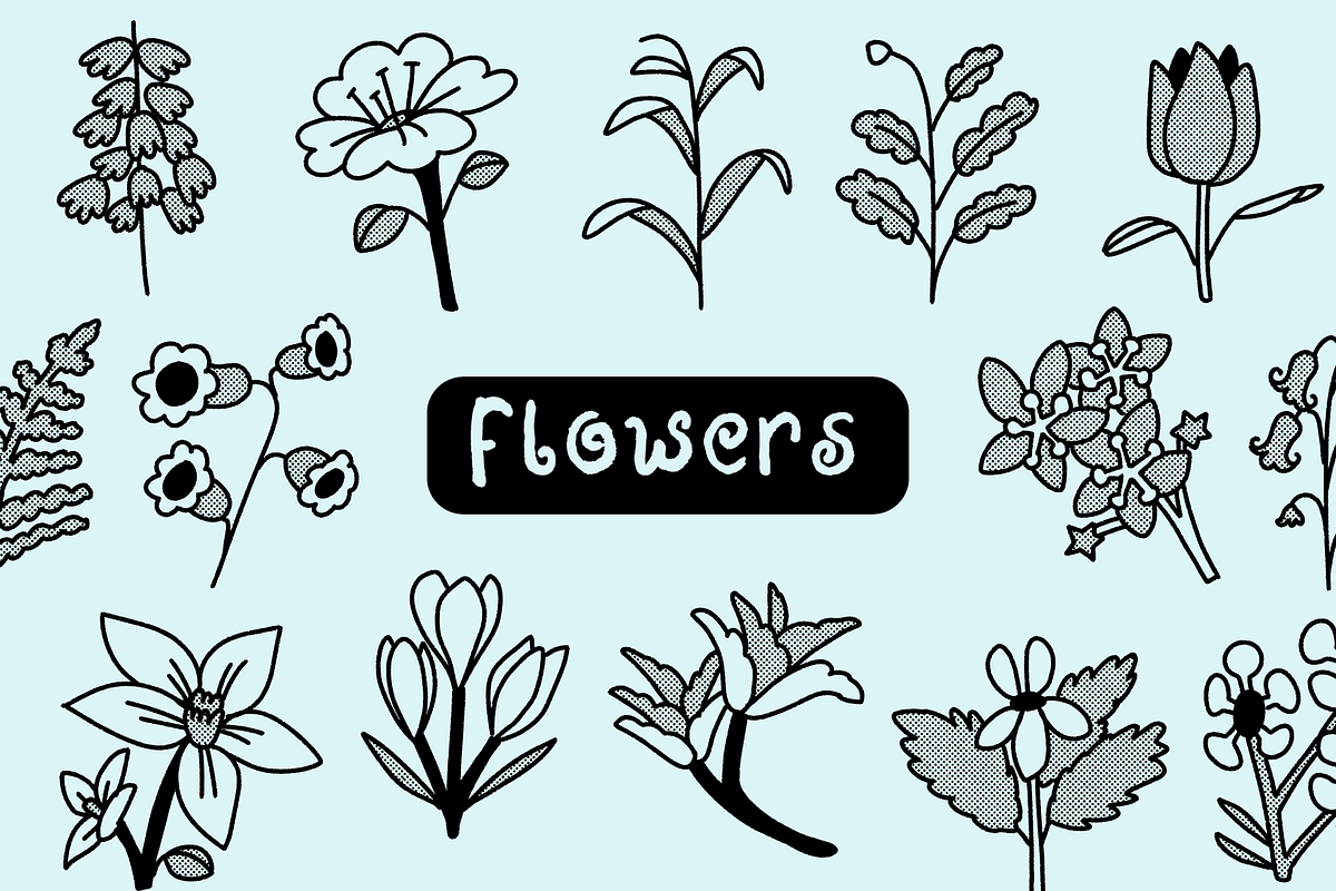 Imperfect Botany: Hand-Drawn Florals, a Decorative Illustration by Iris Atelier (Photo 3 of 7)