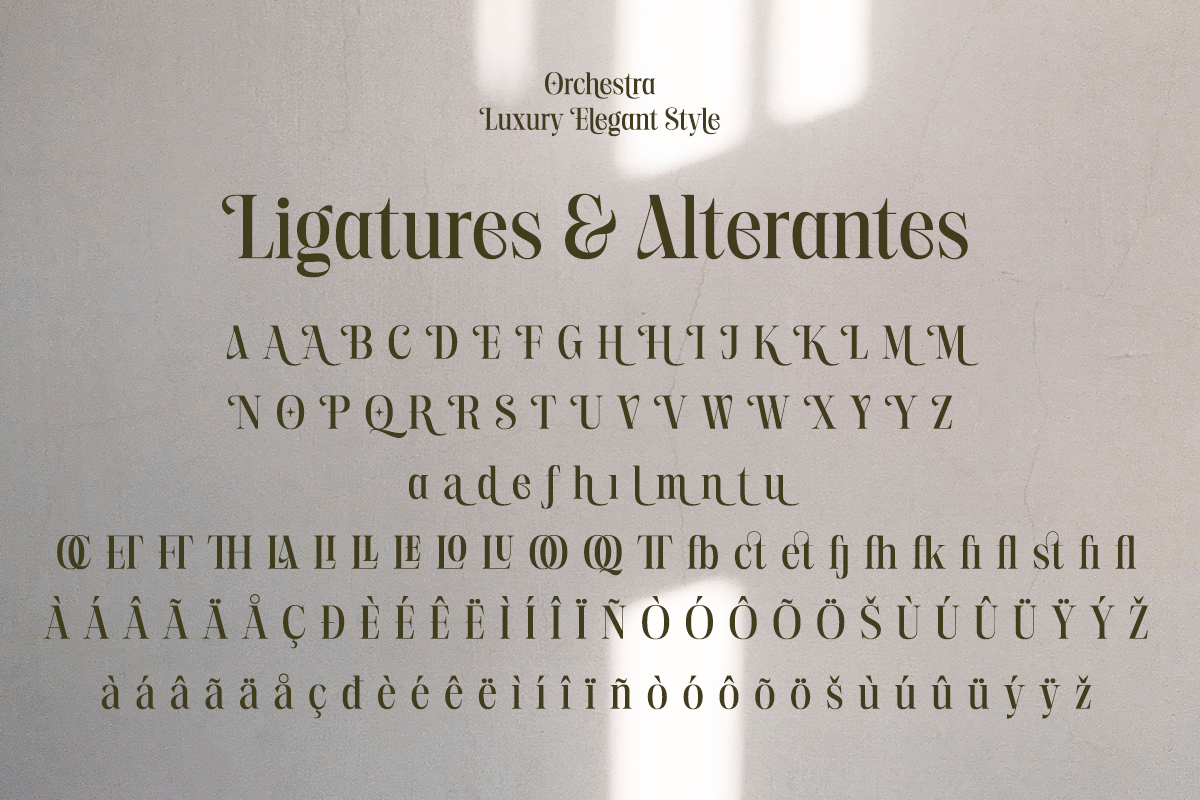 Orchestra - Modern Elegant Serif, a Serif Font by RagamKata (Photo 13 of 13)