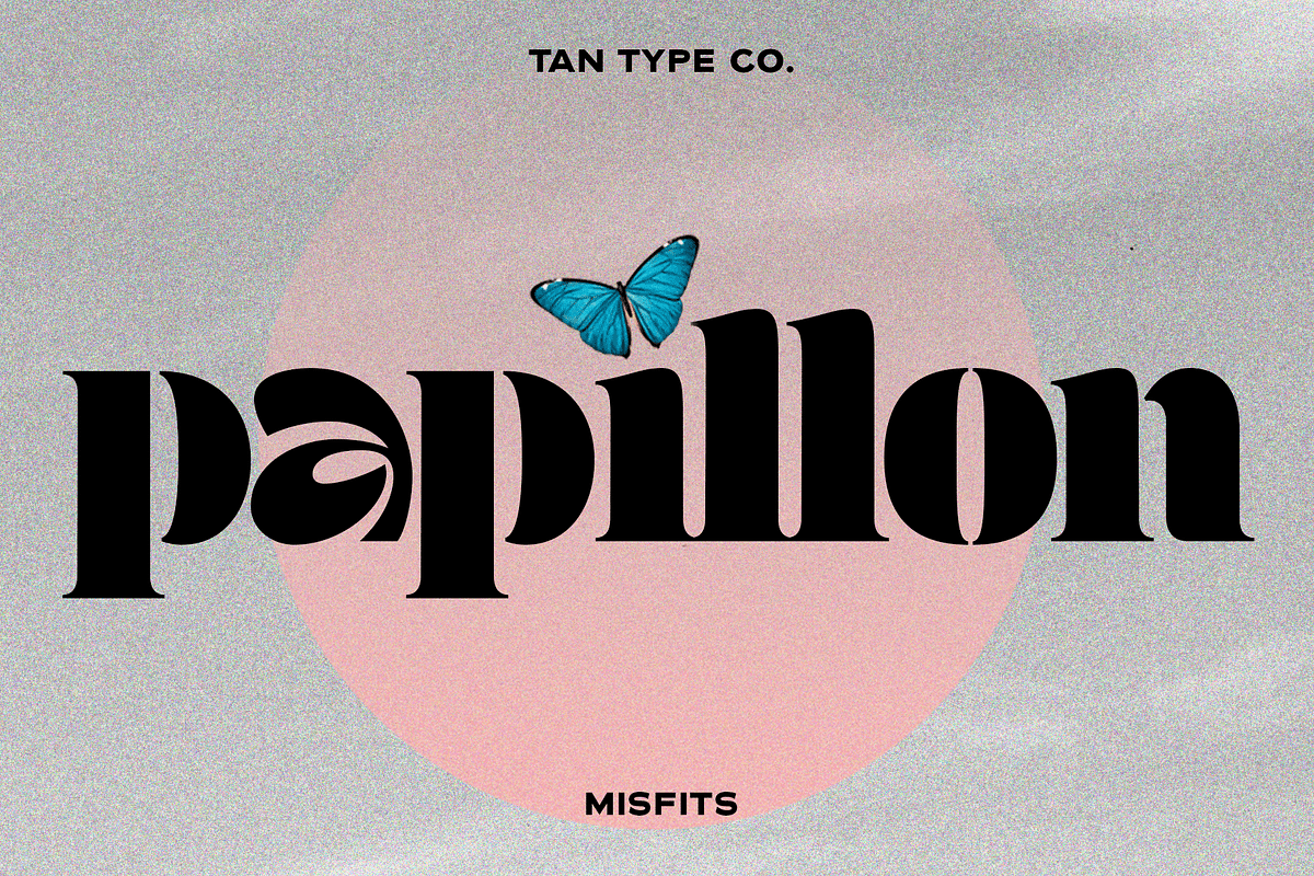 TAN - MISFITS, a Font by TanType (Photo 6 of 15)