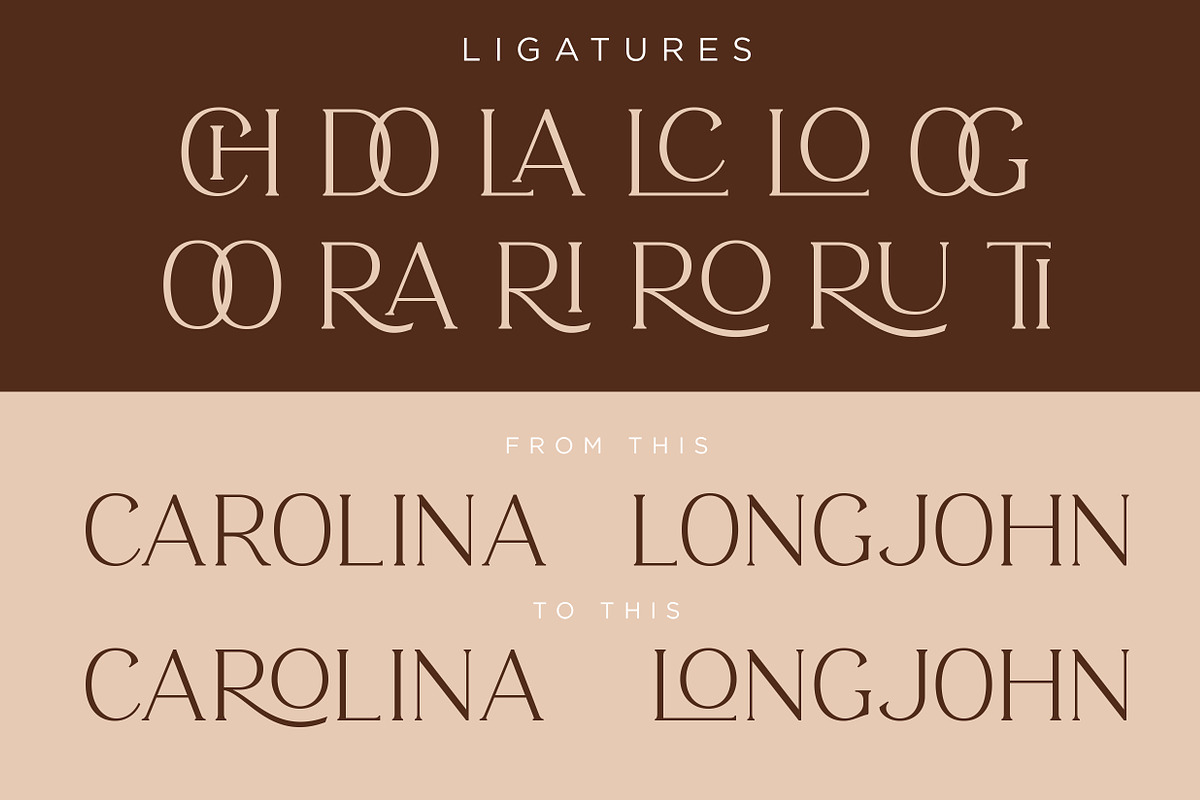 ROAST - Decorative Display Serif preview 5
