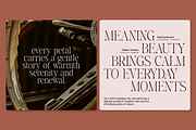 GC Asthera – Modern Display Serif, a Serif Font by Glyphonic (Thumbnail 13 of 15)