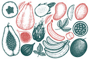 Exotic Plants Vector Collection#2, a Food Illustration by Lubov Illustrations Shop (Thumbnail 3 of 3)