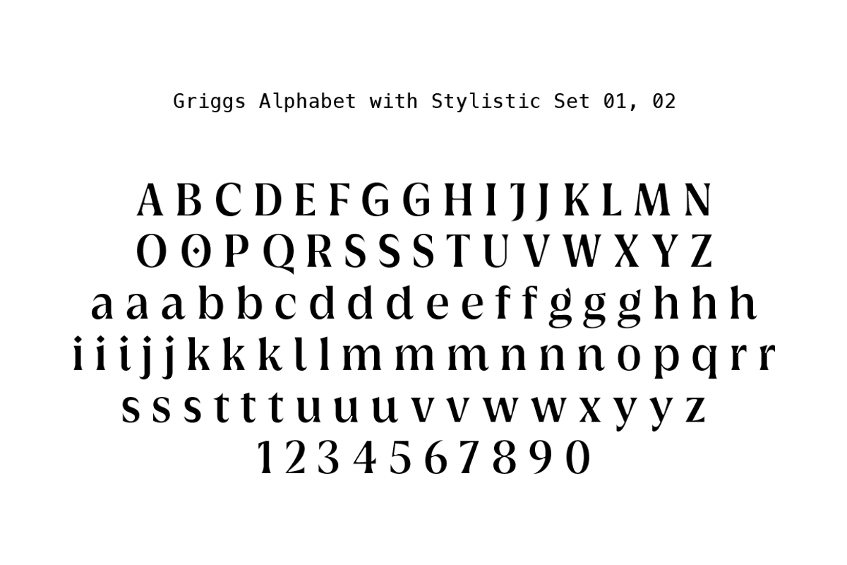 Griggs Variable Typeface, a Serif Font by Seniors (Photo 6 of 10)