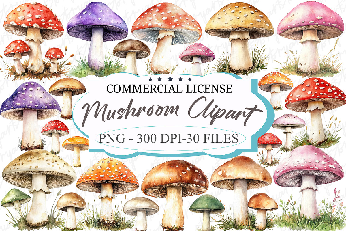 Watercolor Mushroom Clipart, an Illustration by designcity5 (Photo 1 of 5)