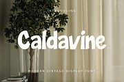 Caldavine Display, a Serif Font by Eltypesstudio (Thumbnail 1 of 10)