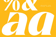 Night Roasty Modern Serif Font, a Script Font by timelesstype.co (Thumbnail 7 of 20)
