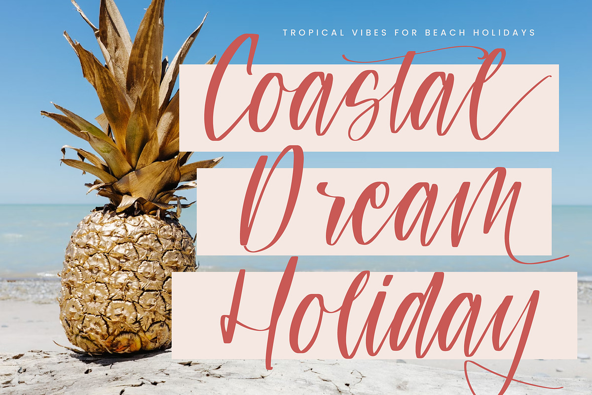Teracota Strokes, a Script Font by Integritype Studio (Photo 10 of 15)