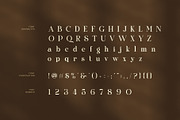 Amonty Contrast Serif Font, a Serif Font by Graphicxell (Thumbnail 7 of 8)